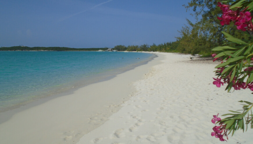 The Beach